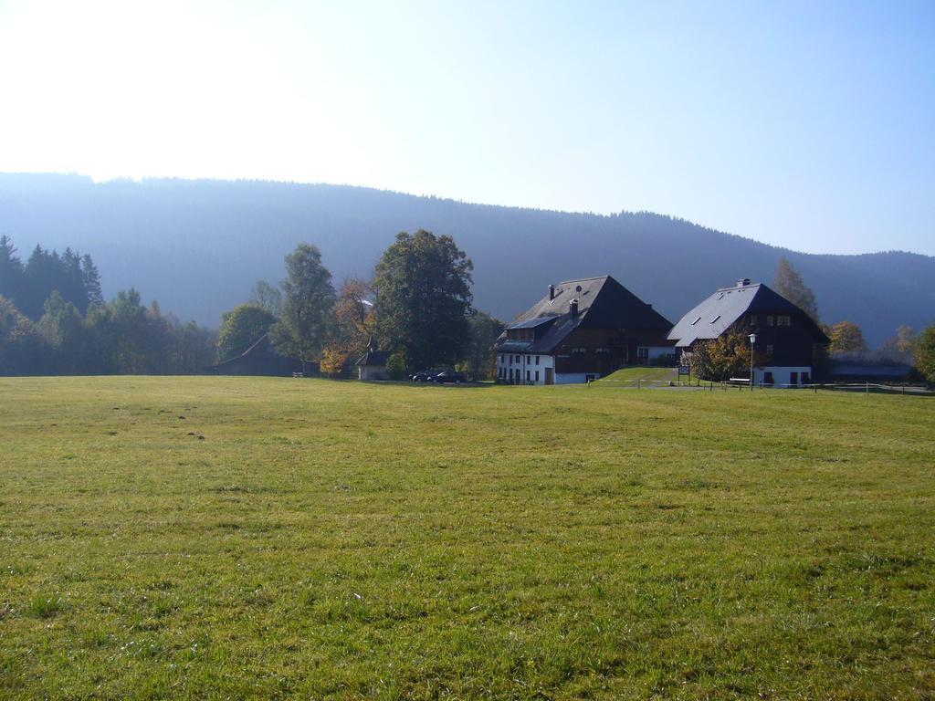 Hermeshof Und Biohaus Титизее-Нойштадт Экстерьер фото